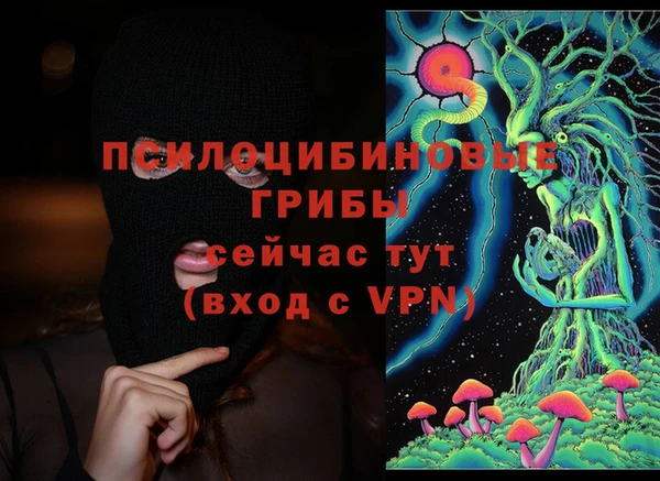 spice Абаза